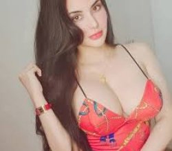 Escorts Aerocity – Luxury Companion Services